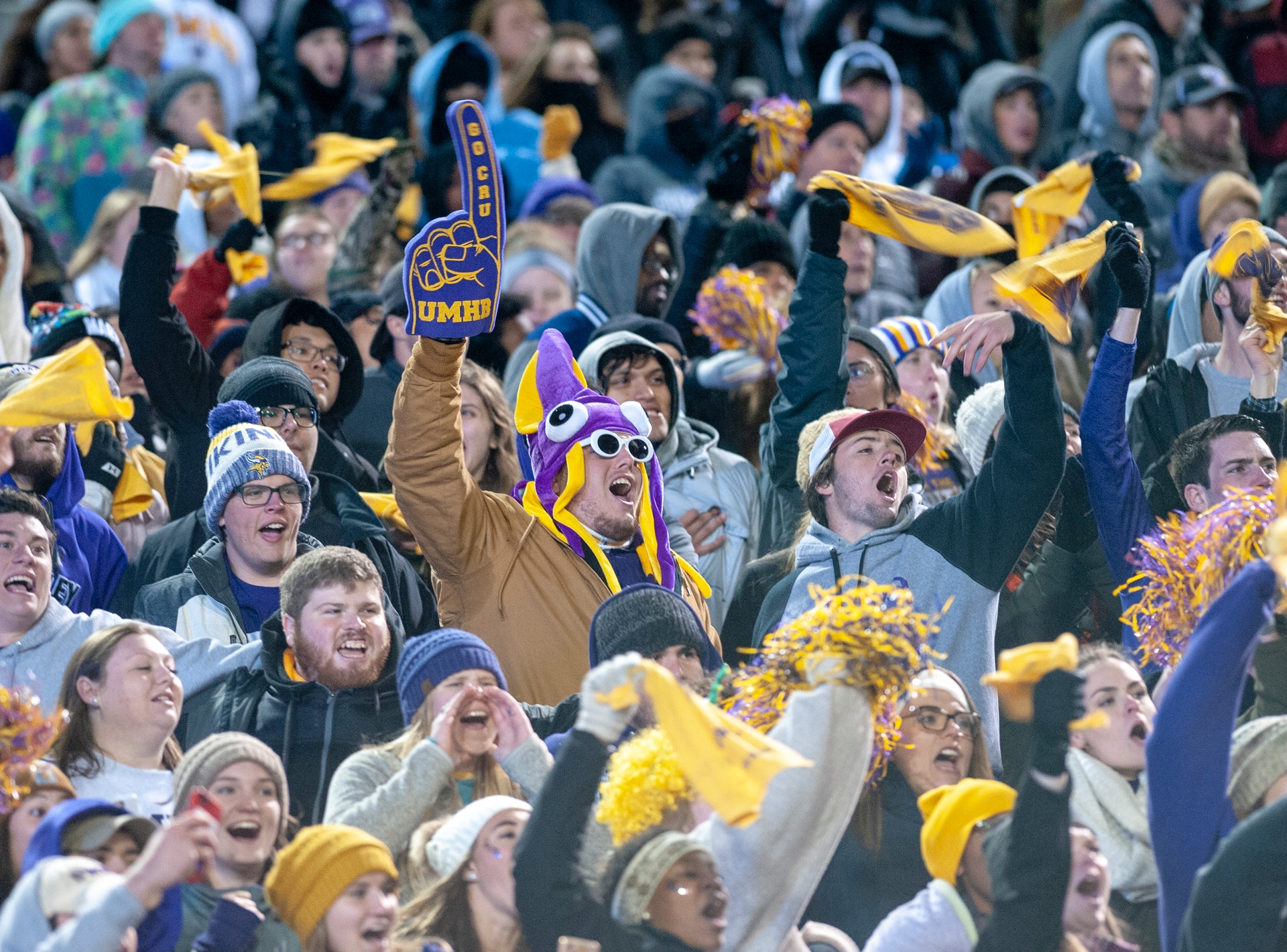 celebration-crowd-fans-2190115