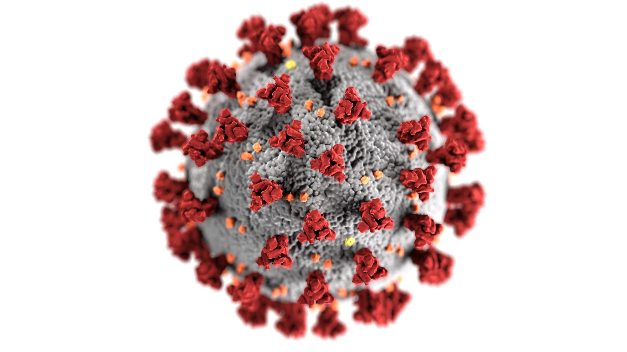 La longue rééducation des malades du coronavirus sortis du service de réanimation au CHU de Reims