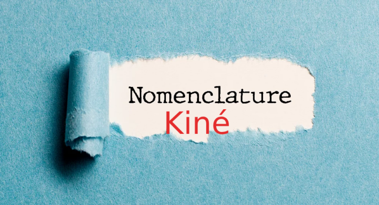 ngap2024kine